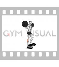 Barbell Standing Single Leg Calf Raise
