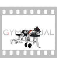 Dumbbell Lying One Arm Rear Lateral Raise (female)