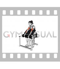 Dumbbell Reverse Preacher Curl (female)
