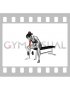Dumbbell Seated Revers grip Concentration Curl (female)