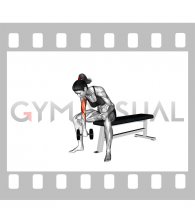 Dumbbell Seated Revers grip Concentration Curl (female)