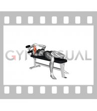 Dumbbell Lying One Arm Supinated Triceps Extension (female)
