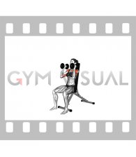 Dumbbell Seated Shoulder Press (parallel grip) (female)