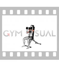 Dumbbell Seated Alternate Press (female)