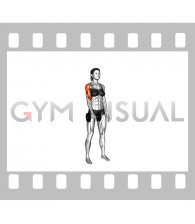 Dumbbell One Arm Upright Row (female)