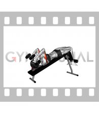 Dumbbell Decline Triceps Extension (female)