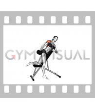 Dumbbell Incline One Arm Lateral Raise (female)
