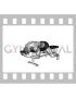 Weighted Lying Neck Extension