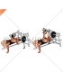Lever Lying Chest Press (plate loaded)