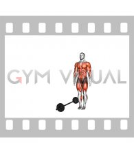 Burpee Over the Bar (male)