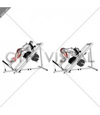 Sled Reverse Hack Squat