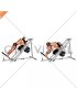 Sled Reverse Hack Squat