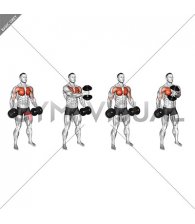 Dumbbell Standing Alternating Cross Raise