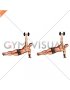 Dumbbell Side Plank (VERSION 2) (male)