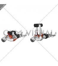 Dumbbell Lying Floor Squeeze Press