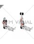 Dumbbell Single Arm Z Press