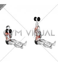 Dumbbell Single Arm Z Press