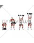 Dumbbell Hang Snatch