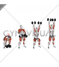 Dumbbell Hang Snatch