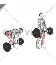 Barbell Split Stance RDL