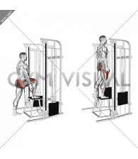 Cable Step-up (male)