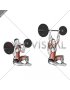 Barbell Butterfly Z Press