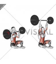 Barbell Butterfly Z Press