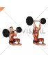 Barbell Butterfly Z Press