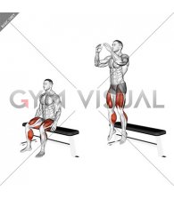 Jump from Seated Position (male)
