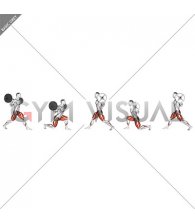 Barbell Static Lunge