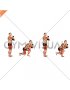 Dumbbell Narrow Squat Lunge (male)