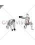 Dumbbell Half Kneeling Thor Lift (male)