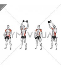 Dumbbell Standing Cross Clean (male)