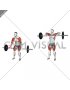 Barbell High Pull (male)