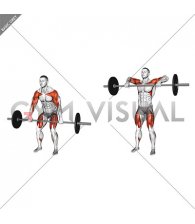 Barbell High Pull (male)