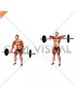 Barbell High Pull (male)