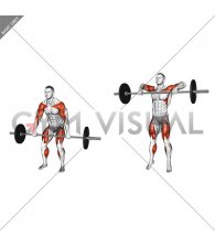 Barbell Hang Clean High Pull (male)