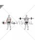 Barbell Fat Bar Reverse Curl (male)