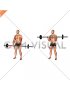 Barbell Fat Bar Reverse Curl (male)