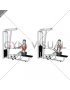 Cable Seated Single Arm Lats Focused Row