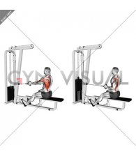 Cable Seated Single Arm Lats Focused Row