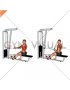 Cable Seated Single Arm Lats Focused Row