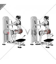 Lever Isometric Squat Hip Abduction (female)