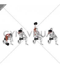 Dumbbell Half Kneeling Single Arm Clean Press (male)
