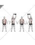 Dumbbell Standing Front Raise Twist (male)