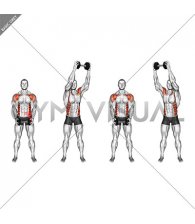 Dumbbell Standing Front Raise Twist (male)