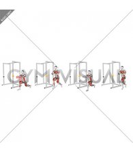 Resistance Band Alternating Split Stance Pallof Press