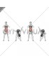 Standing Bend Alternating Toe Touch (female)
