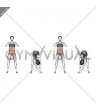 Standing Bend Alternating Toe Touch (female)