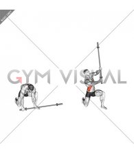 Barbell Half Kneeling Thor Lift (male)